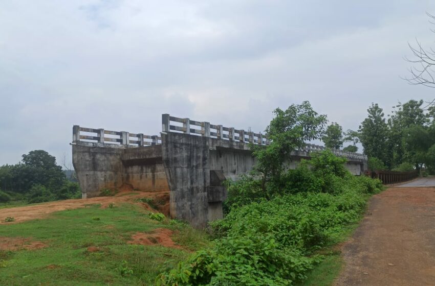 মানুষের কাজে লাগেনি সেতু, শুধু শোভা বর্ধন করছে!!