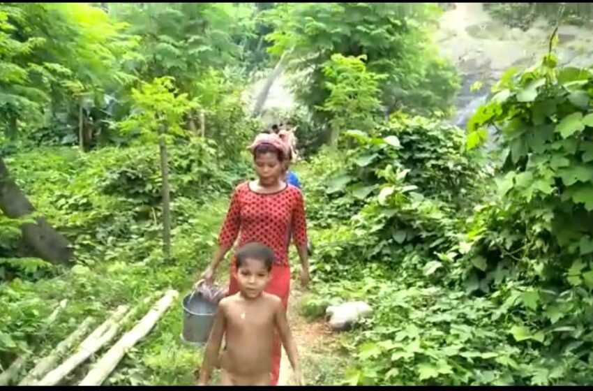 উন্নয়ন শুধু প্রচারে!!!