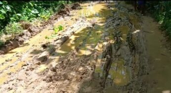 রাস্তা সংস্কারের দাবিতে অবরোধ!!