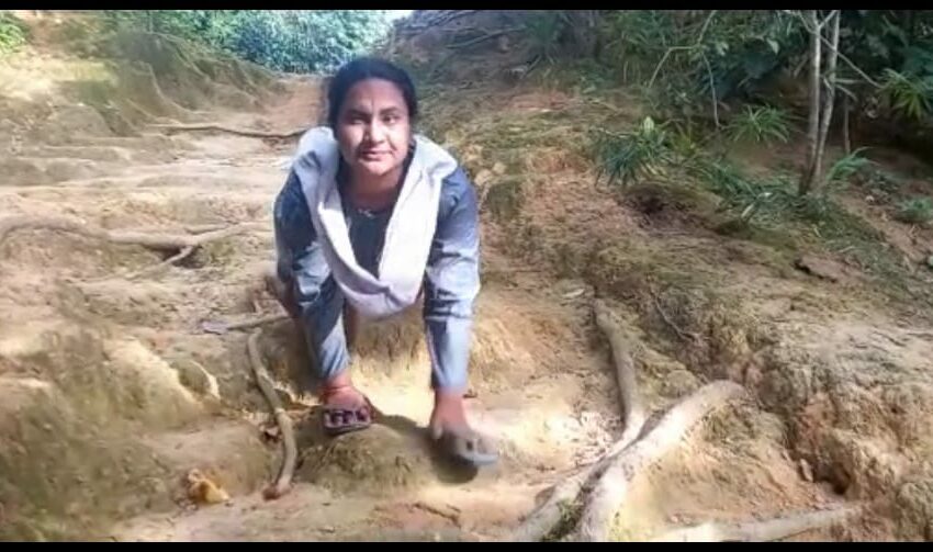 বীরাঙ্গনা দেবশ্রী
