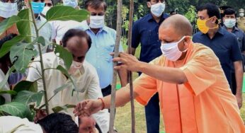 অক্সিজেনের জোগান নিশ্চিত করতে ৩৫ কোটি বৃক্ষরোপণ