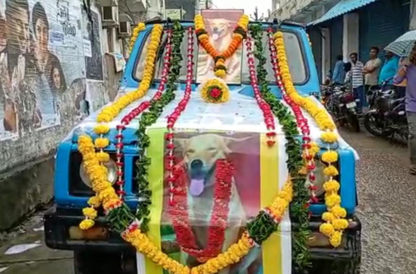 প্রিয় পোষ্যের মৃত্যুতে শ্রাদ্ধশান্তি, ব্যান্ডবাজা, খাওয়াদাওয়া!!
