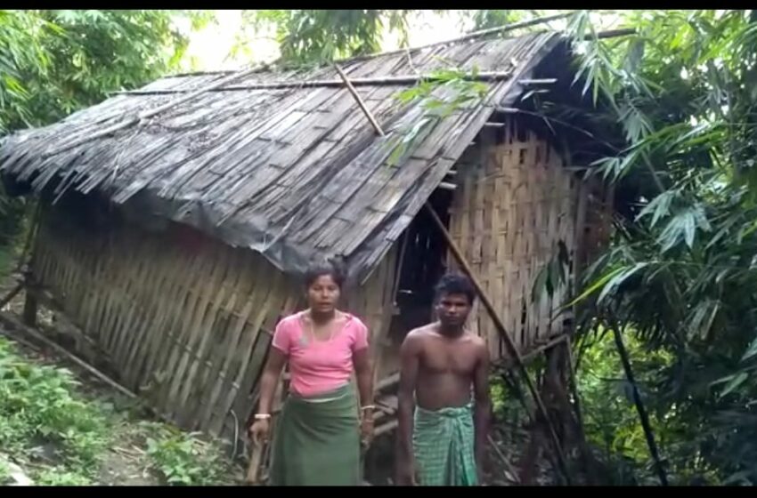 জনজাতি উন্নয়নে মায়াকান্না!!