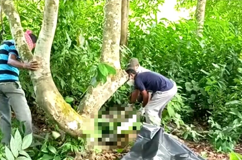 ঝুলন্ত পচা গলা লাশ উদ্ধার!!