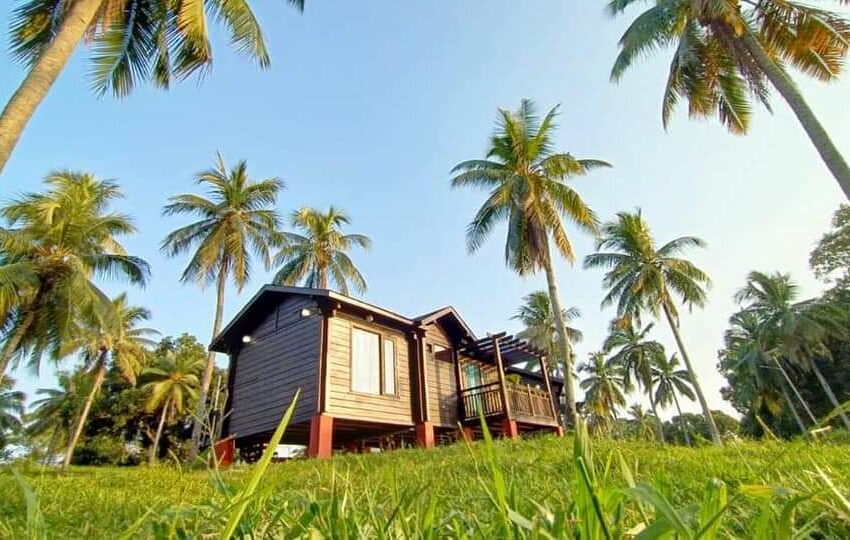 পর্যটনে যুক্ত হলে নতুন পালক!