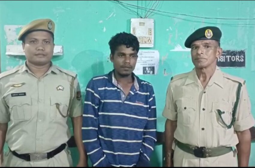 ভাগ্নের লালসার শিকার মামী!!