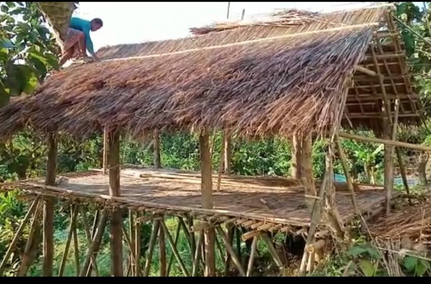 বিলুপ্তির পথে ছনের ঘর!!