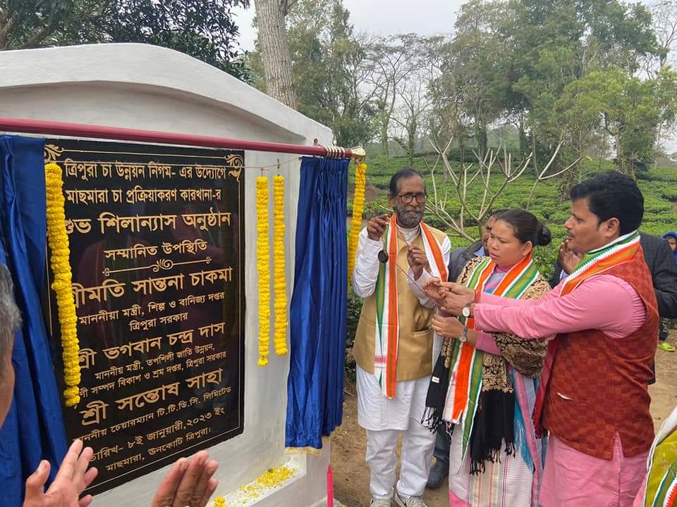 চা শিল্পের প্রসারে মাছমারা বাগানে বসছে মিনি ফ্যাক্টরি