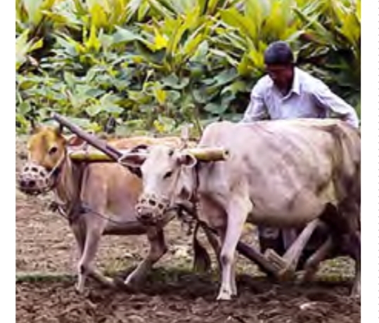  মৃত ছেলের নামেপ্রাথমিক স্কুলে ফেরঅনুদান দিনমজুরের