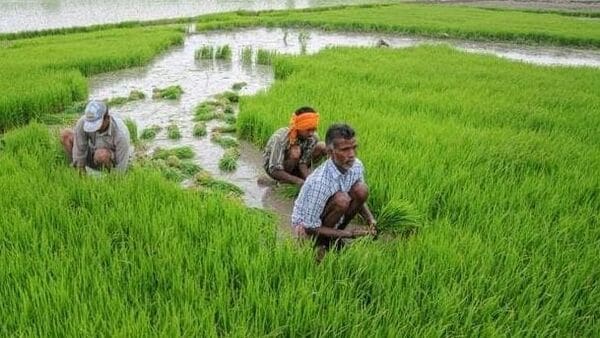  কৃষক কল্যাণে কৃষি পরিকাঠামো উন্নয়নের উদ্যোগ নিলো দপ্তর