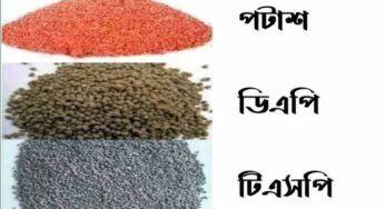 কৃষিক্ষেত্রে কোন সার কি কাজ দেয় জানুন।