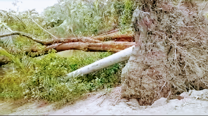  মিধিলি’র প্রভাবে বিপর্যস্ত বিদ্যুৎ!!