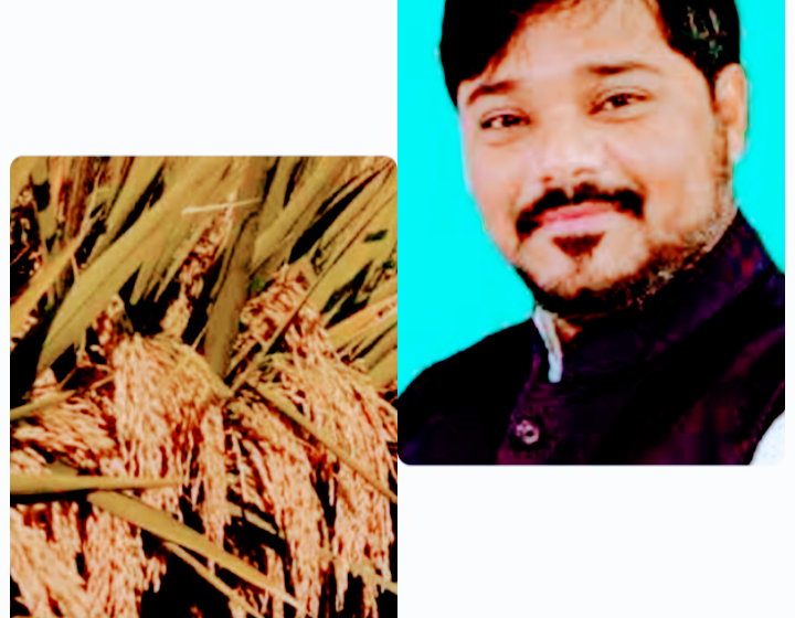 সহায়ক মূল্যে ১,৩১,২৭৯ এমটি ধান ক্রয় করা হয়েছেঃ সুশান্ত!!