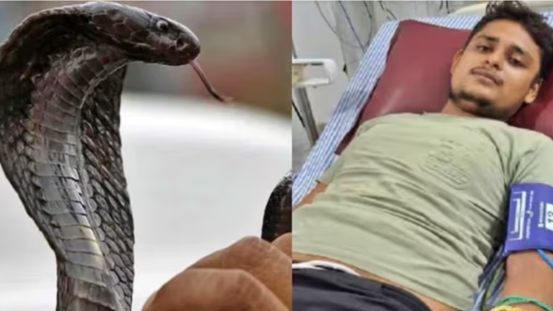 ৩৫ দিনে ৬ বার সাপের ছোবল খেয়েও সুস্থ যুবক!!