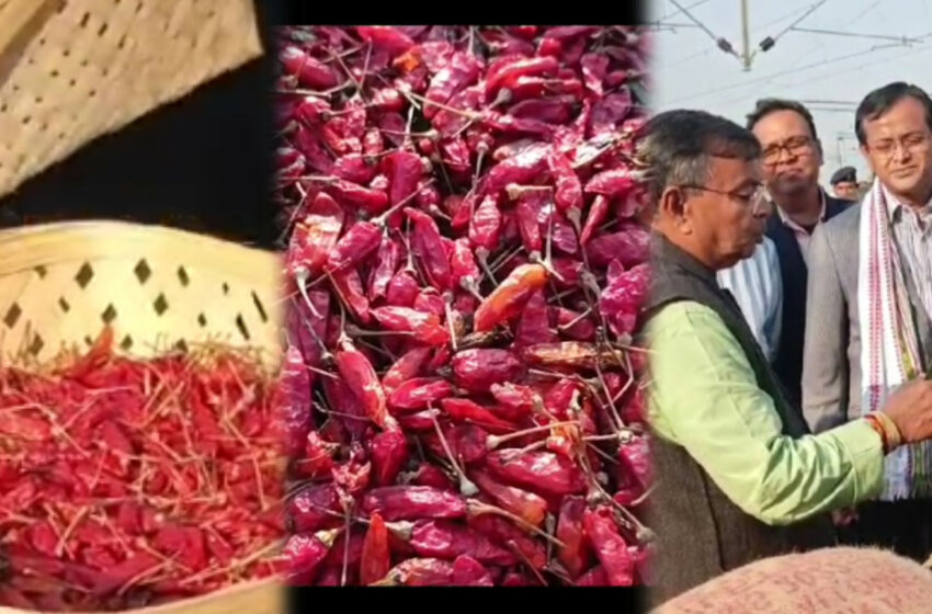 বহিঃরাজ্যে গেল “ধানি লঙ্কা”ওরফে ধান্না মরিচ!!