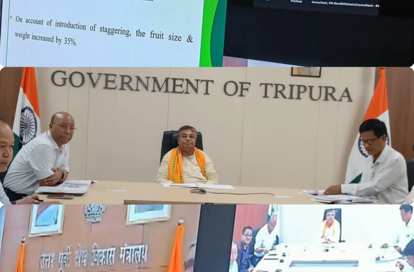  কুইন আনারসকে বিশ্ববাজারমুখী করতে,কেন্দ্র-রাজ্য যৌথ উদ্যোগে ১৩২ কোটির প্রকল্প গৃহীত!!
