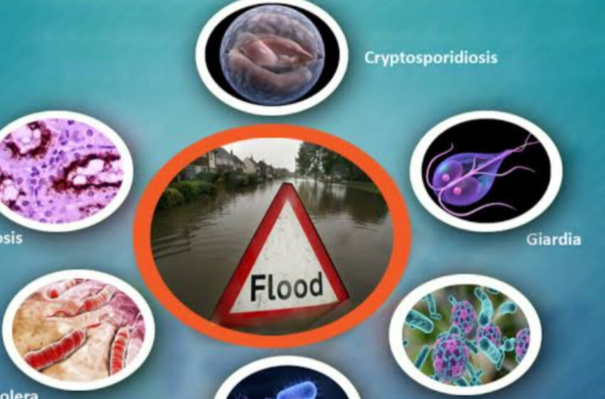 ত্রিপুরা সহ উত্তর-পূর্বে বর্ষা ও বন্যার ভয়াবহতা: রোগবালাই ও প্রতিকার নিয়ে চিকিৎসকের জরুরি পরামর্শ!!