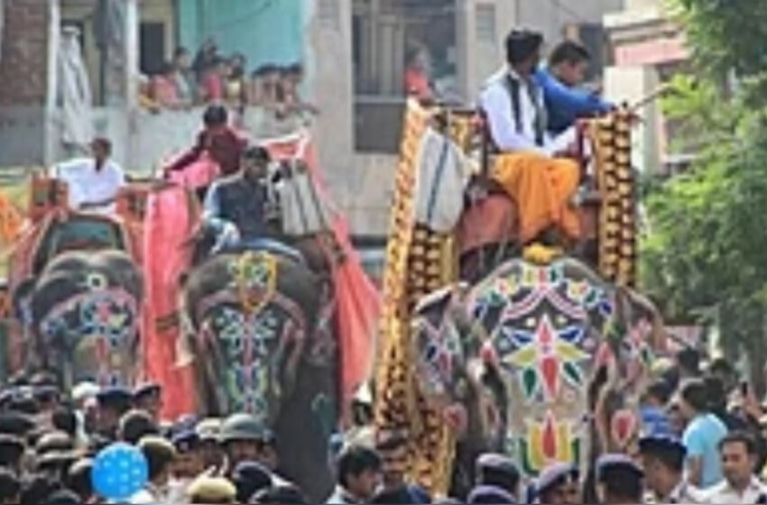  রথের শোভাযাত্রায় বেসামাল হাতি!!
