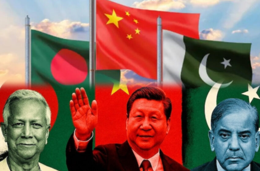  দক্ষিণ এশিয়ার সংকট!!