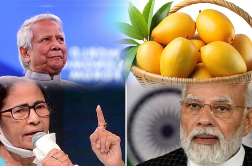  হাসিনার প্রথাই অনুকরণ করলেন ইউনূস, আম পাঠালেন মোদী-মমতাকে!!
