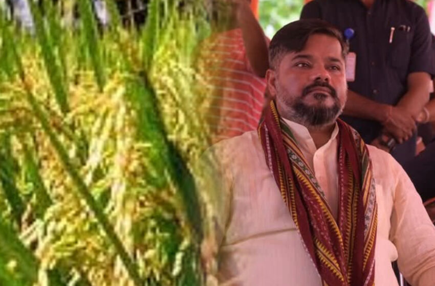  বিজেপি সরকার থাকলে ধান ক্রয় অব্যাহত থাকবে: সুশান্ত!!