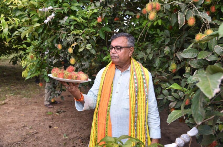 রাজ্যেও শুরু ম্যাঙ্গোস্টিন, রামবুটান, অ্যাভোকাডো চাষ,শীঘ্রই আলুবীজে স্বনির্ভর হবে ত্রিপুরা: রতন!!