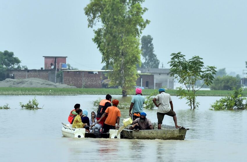 ৩৭ বছর বাদে ভয়াবহ বন্যা পাঞ্জাবে,ভাসছে ২৩ জেলা মৃত বেড়ে ৩৭!!