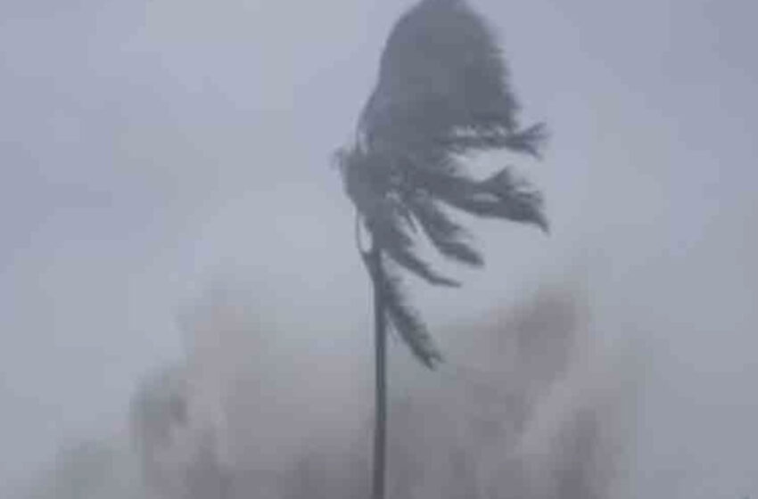 অন্ধ্রে চার লক্ষ হেক্টরের ফসল ক্ষতিগ্রস্ত ঝড়ের দাপটে!!