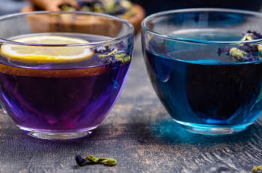 স্বসহায়ক দলের হাত ত্রিপুরায় নতুন অধ্যায়, সর্ব প্রথম তৈরি হলো নীলকণ্ঠ ফুলের জৈব চা!!