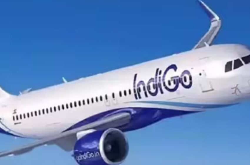  মাঝ-আকাশে ইন্ডিগোর বিমানে পোড়া গন্ধ,আতঙ্ক!
