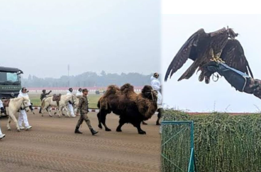 প্রজাতন্ত্র দিবসের দিন কর্তব্যপথে হাঁটবে সেনার সারমেয়রা!!