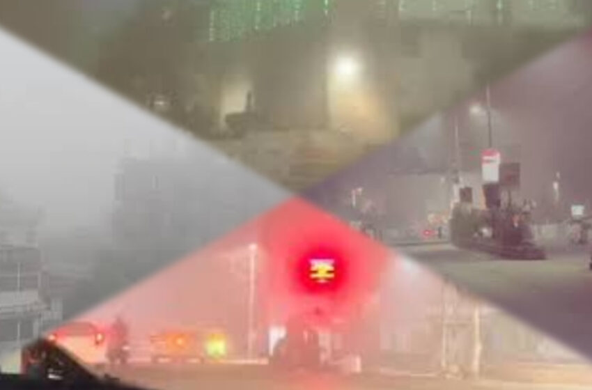  প্রকৃতির অতি সক্রিয়তা!!