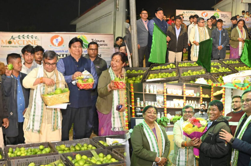  ১৫ হাজার অর্গানিক গন্ধরাজ লেবু কলকাতায় রপ্তানি,কৃষিতে এগিয়ে গেছে ত্রিপুরা লাভবান হচ্ছেন কৃষকরা: রতন!!