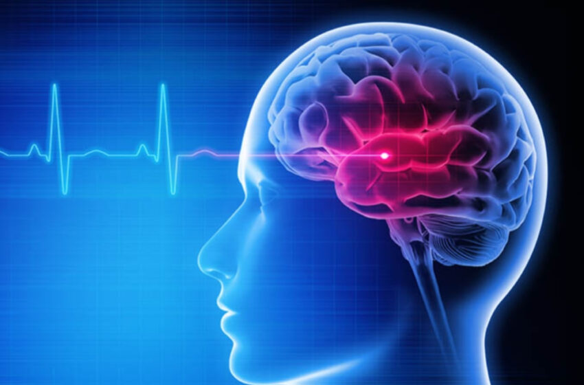  নার্ভের অসুখ: মাথাব্যথা থেকে স্ট্রোক—- কী বলছে নিউরোলজি??