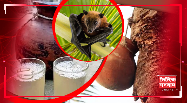  নিপা ভাইরাস! বারাসাতে তরুণী নার্সের হৃদরোগে প্রাণহানি