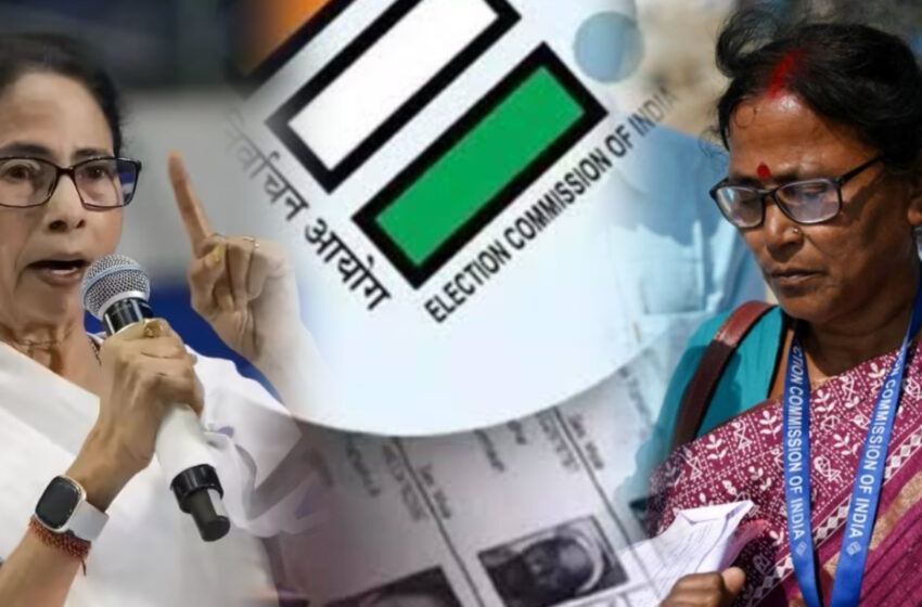  গণতন্ত্রের নজির