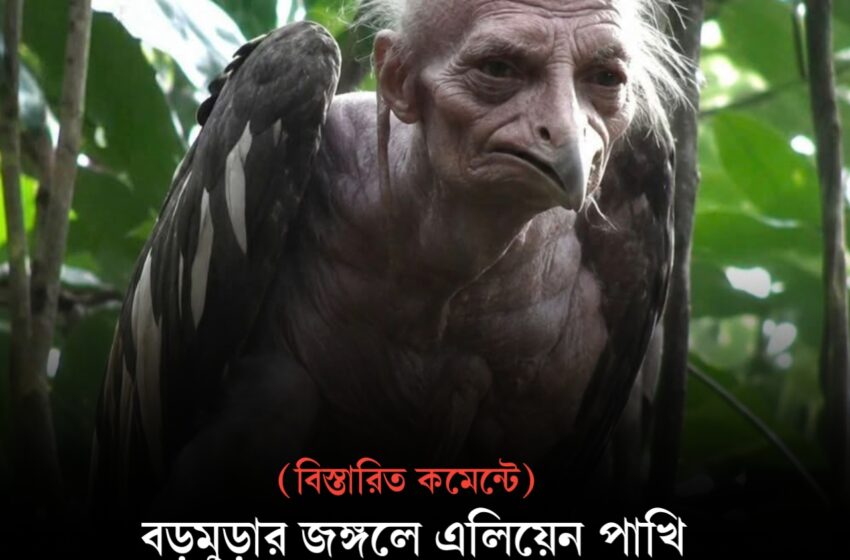  বড়মুড়ার জঙ্গলে ‘এলিয়েন পাখি’! কতটা সত্যি, কতটা গুজব?