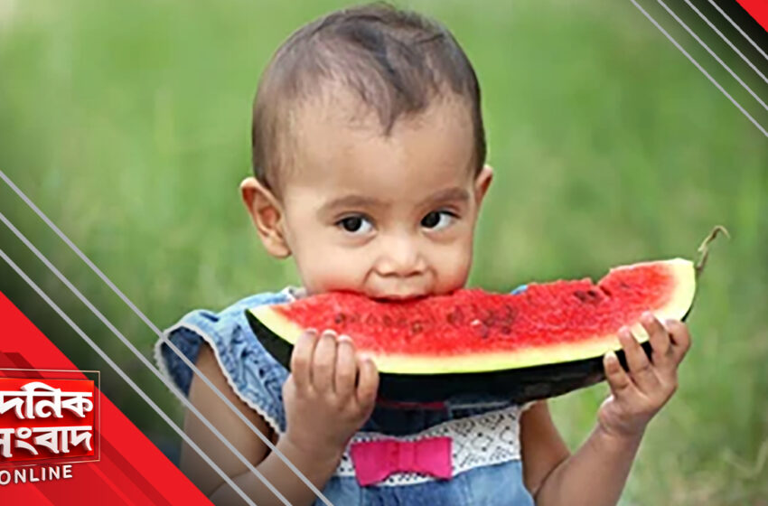  তরমুজ নিয়ে ভয়— সত্যি না গুজব?