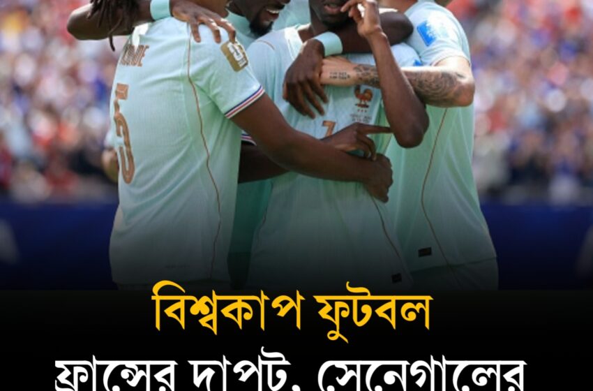  ফ্রান্সের দাপট, সেনেগালের গোলবন্যা, স্পেনের জয়